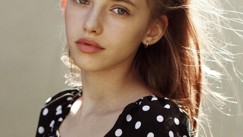 重型轴承座与轻型轴承座：差异解析与应用考量**